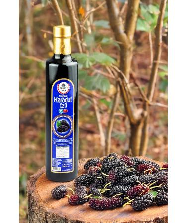 Mesirisifa Black Mulberry Extract 700 g - Buy Online on GoSupps.com