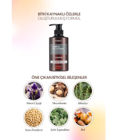Kundal Anti-Breakage Nourishing Care Shampoo KUNDAL Honey & Macadamia Nature Shampoo 500ml English Rose - Buy Online on GoSupps.com