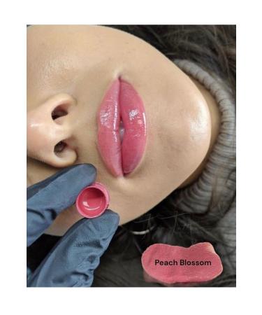 DFCOSMETICS -nude Lip Pigment 2ml Lip Contour Paint Permanent Makeup Paint - Buy Online on GoSupps.com