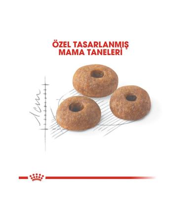 Royal Canin Fit 32 Adult Cat Food 10 Kg - Buy Online on GoSupps.com