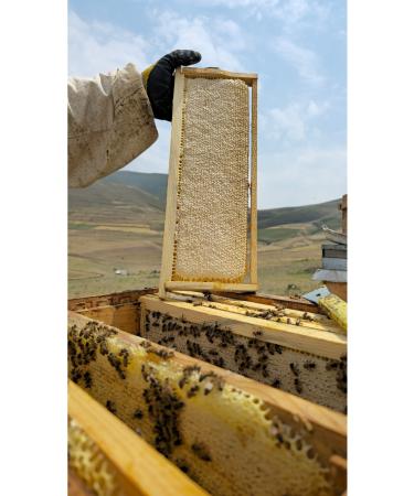 Harvest Time I d r Yayla Flower Honey Extract 1 Kg - Buy Online on GoSupps.com