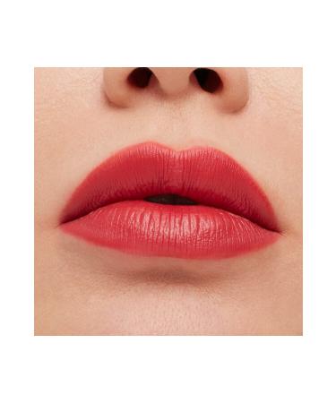 Mac Special Set for Christmas-Stay Curious Party Crew Vault Demb.1802 - Buy Online on GoSupps.com