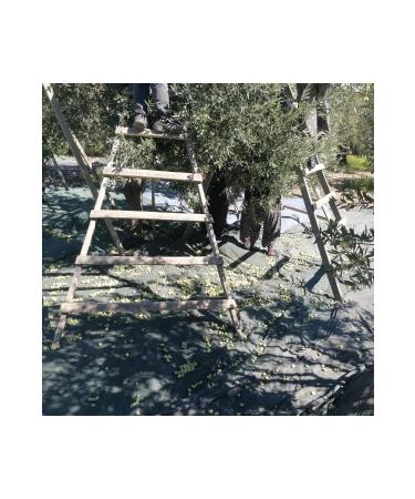 OLIVE OIL FROM THE SOIL 1 LITER ONE LITER - Buy Online on GoSupps.com