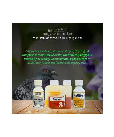 Royal la Royal la Racing Pigeons Mini Comfortable Breath High Performance and Perfect Flight Set