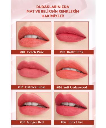 PERIPERA Matte Finish Full and Smooth Appearance Tint PERIPERA Ink Mood Matte Tint (05 Ginger Red) - Buy Online on GoSupps.com