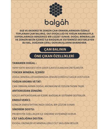 BALGAH PINE HONEY 970 GR. - Buy Online on GoSupps.com