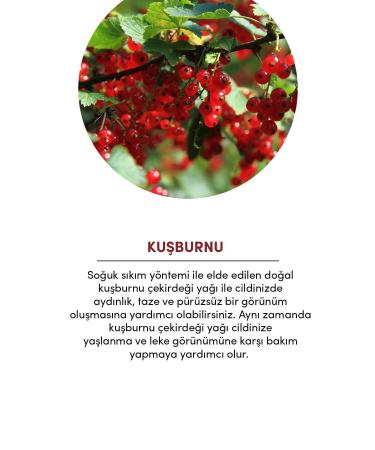 From Natura Rosehip Seed Oil 30 ml - Buy Online on GoSupps.com