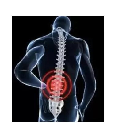 H NTOHU Yoruk Ana Herbal Pain Reliever Cream for Body Pain 200ml 3 Pieces - Buy Online on GoSupps.com