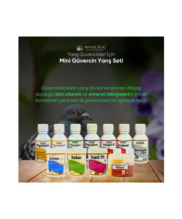 Royal la Royal la Mini Pigeon Race Set