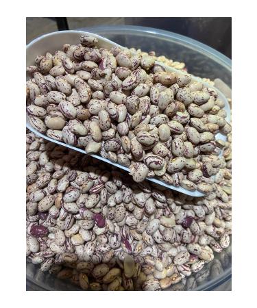 G LTEK N HONEY Colored red kidney beans 1 kg - Buy Online on GoSupps.com