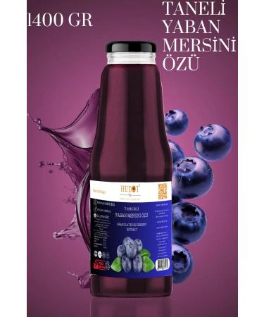 HUDOT GRAINED BLUEBERRY EXTRACT 1400 GR HUDOT GOURMET PREMIUM