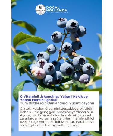 Treets Revitalizing Smoothing Fast Absorbing Body Lotion for All Skin Types with Blueberry - Buy Online on GoSupps.com