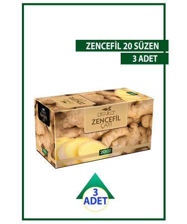 ASVITA Asvita Ginger 3 Pack 3x20 Filtering Bags