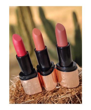 THE BALM COSMETICS Eyeshadow Palette Blush Lipstick Bronze Illuminator 4 in 1