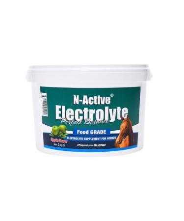 N-Active Electrolyte Apple Flavored 2 Kg
