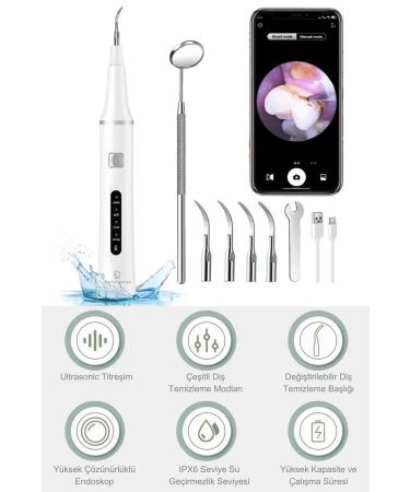 DeepSurge Camera Dental Tartar Remover Plaque and Stain Cleaner Teeth Whitening - Buy Online on GoSupps.com