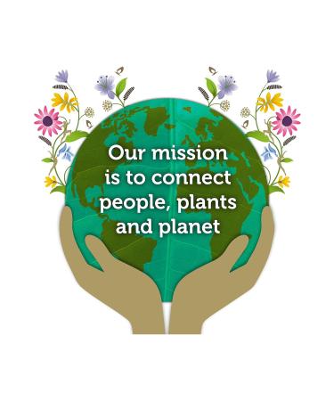 Pukka Three Fennel Organic Tea - Buy Online on GoSupps.com