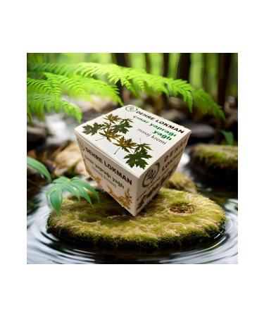Dehre Lokman Plane Leaf Cream 70gr (4 Pieces)