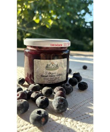 NATURAL KAPIDA BY BEYZA AYDIN RIPE BLUEBERRY EXTRACT (245 GR)