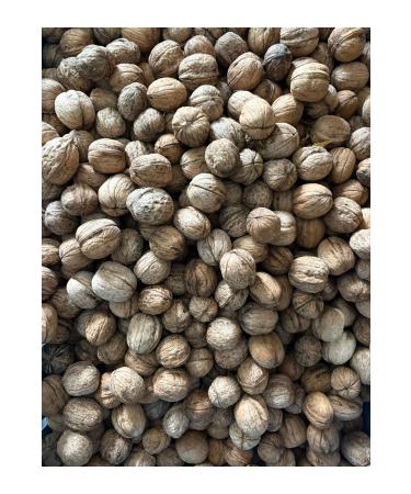 Local Local Shelled Walnuts 1kg - Buy Online on GoSupps.com