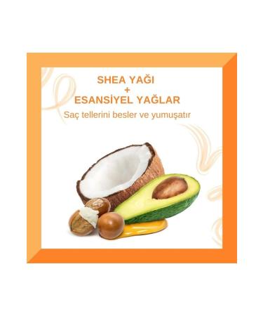 Cantu Shea Butter Extra Permanent Gel for Natural Hair 64 gr - Buy Online on GoSupps.com