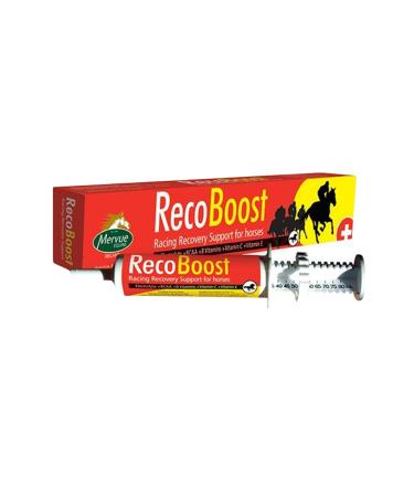 Mervue Equine Recoboost 80 Ml
