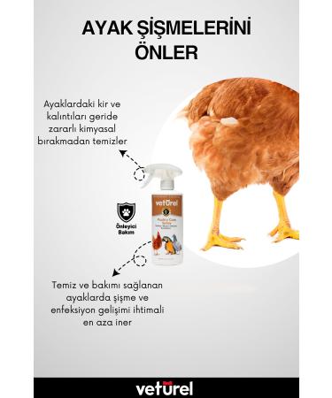 Veturel Poultry Care Bird Chicken Parrot Canary Feather Care Eye Foot Wound Infection Refill 1000ml - Buy Online on GoSupps.com