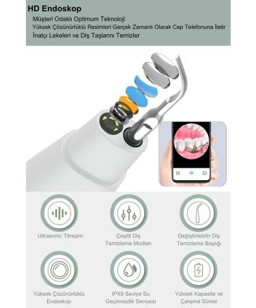 DeepSurge Camera Dental Tartar Remover Plaque and Stain Cleaner Teeth Whitening - Buy Online on GoSupps.com