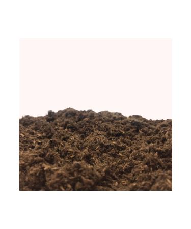 Haven Herbs & Blends Reishi Mushroom 50 Gr | Ganoderma Lucidum | In Tea Form | - Buy Online on GoSupps.com