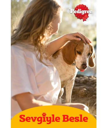 Pedigree Rodeo Chewable Cookies 70 G 20X - Buy Online on GoSupps.com