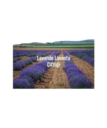 Lavande Lavender Farm Organic Lavender Dried Flower 500 Gr. - Buy Online on GoSupps.com