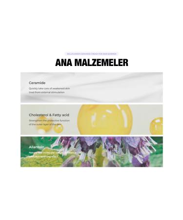 Bellflower Ceramide Barrier Strengthening Regenerating Repairing and Moisturizing Cream 30ml - Buy Online on GoSupps.com