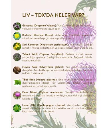 Novatio Liv-tox Tea - 75 G. Liver Cleansing Support Herbal Tea - Buy Online on GoSupps.com