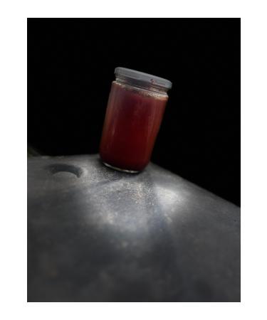 Tomato paste from the branch