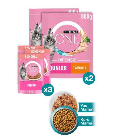 Purina One Junior Chicken Kitten Cat Food 800gr X2 Pieces Junior Salmon Wet Kitten Cat Food 3x85g