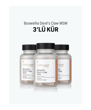 Live Yourself Boswellia Devil's Claw Msm Triple Cure