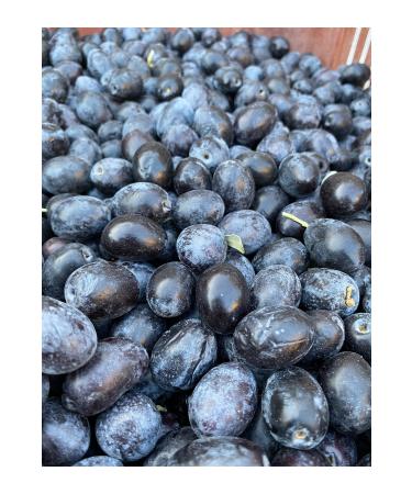 mut pearl olive & olive oil Black Raw Olive (Unprocessed) 12 Kg