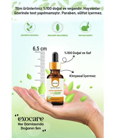 exocare Apricot Kernel Oil 0 Pure and Natural Herbal Oil Natural Care Natural Apricot Kernel Oil 10ml - Buy Online on GoSupps.com