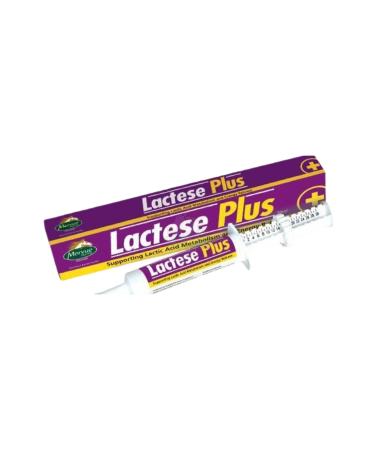 Mervue Equine Lactese Plus 30 Ml