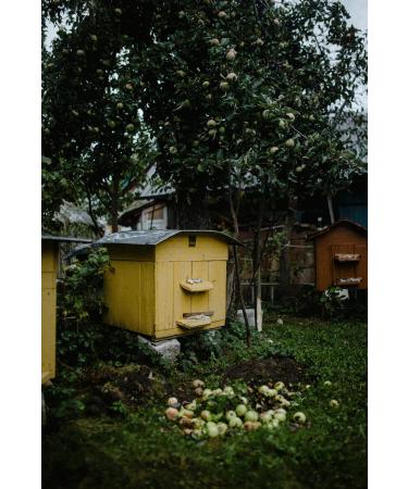 F rat Village Products Chestnut Linden Honey 800gr(YALOVA)