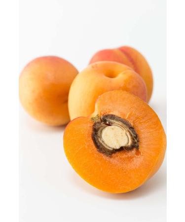 Intense Natural Apricot Kernel Oil Cold Pressed 20 Ml 0 Pure And Natural Apricot Kernel Carrier Oil - Buy Online on GoSupps.com