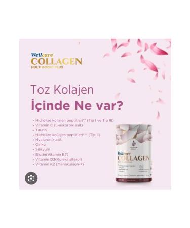 Wellcare COLLAGEN MULTI BOOST PLUS TYPE 1-2-3 POWDER FORM - Buy Online on GoSupps.com