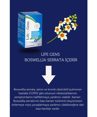 LifeGens Vitamin Joint and Bone Health Food Supplement 60 Capsules - Buy Online on GoSupps.com