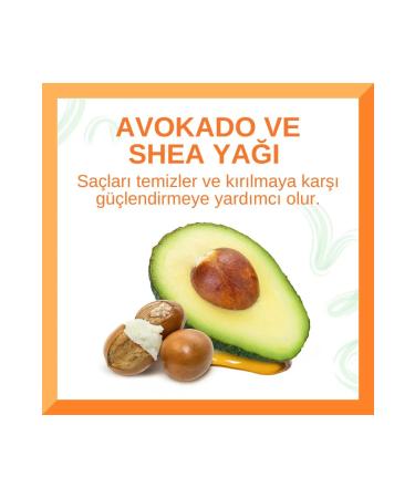 Cantu Avocado Oil Sulfate-Free Moisturizing Shampoo 400mL - Buy Online on GoSupps.com