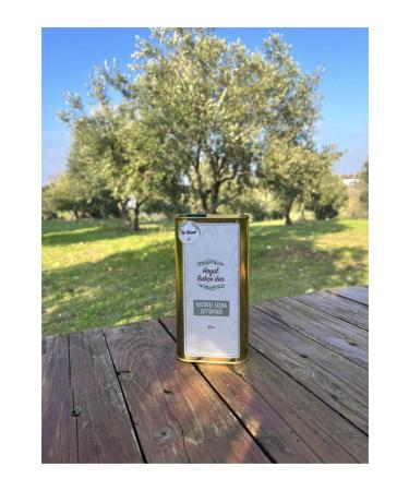 First Harvest Natural Extra Virgin Olive Oil from Hayal Bah e 1 Liter - Buy Online on GoSupps.com