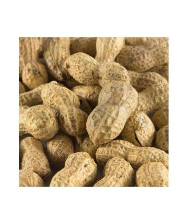 TALAS Nuts Raw Peanut in Shell 1 KG