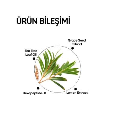 mineaderm Detox Shampoo 300/ Detox Shampoo - Buy Online on GoSupps.com