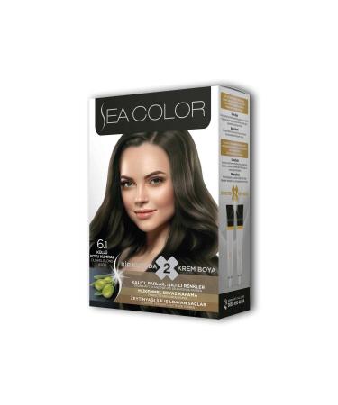 2 Tube Cream Hair Dye Set Ash Dark Blonde No:6.1