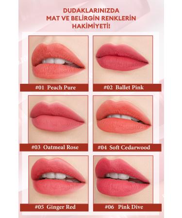 PERIPERA Matte Finish Full and Smooth Appearance Tint PERIPERA Ink Mood Matte Tint (03 Oatmeal Rose) - Buy Online on GoSupps.com