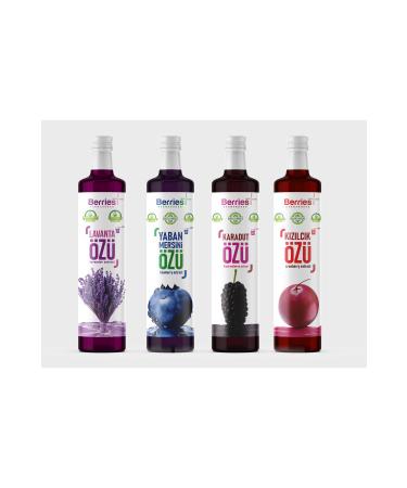SHOPINGTR 4-Pack Advantage Package (BLUEBERRY EXTRACT BLACK MULBERRY EXTRACT LAVENDER EXTRACT CRANBERRY EXTRACT)